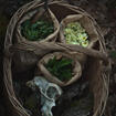 Basket of greens